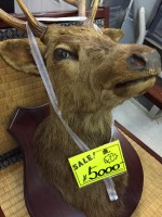 商品画像1